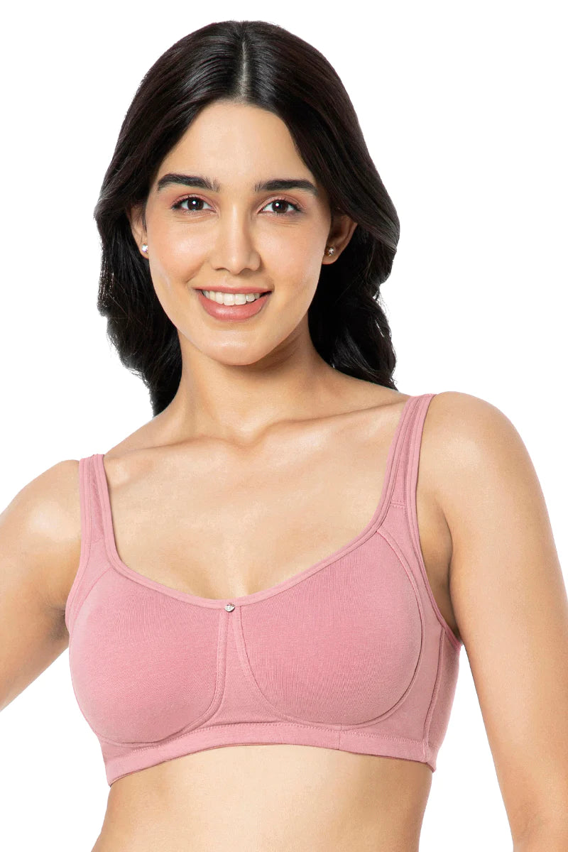 Buy MULTI COLOR PADDED NON WIRED BRA WITH POWER NET SET OF 2 for