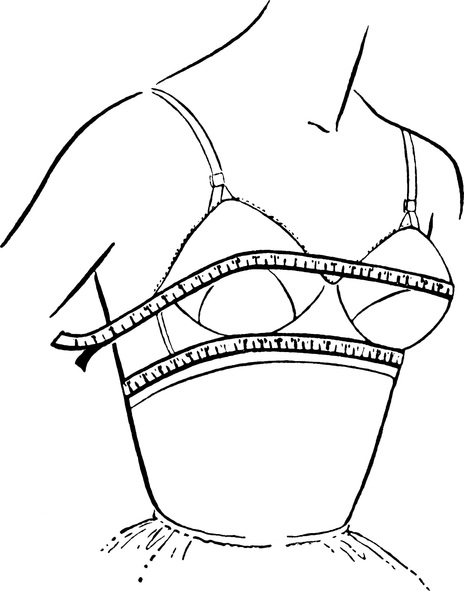 http://www.bareessentials.in/cdn/shop/products/bra-fitting-service-trivandrum.png?v=1591900062